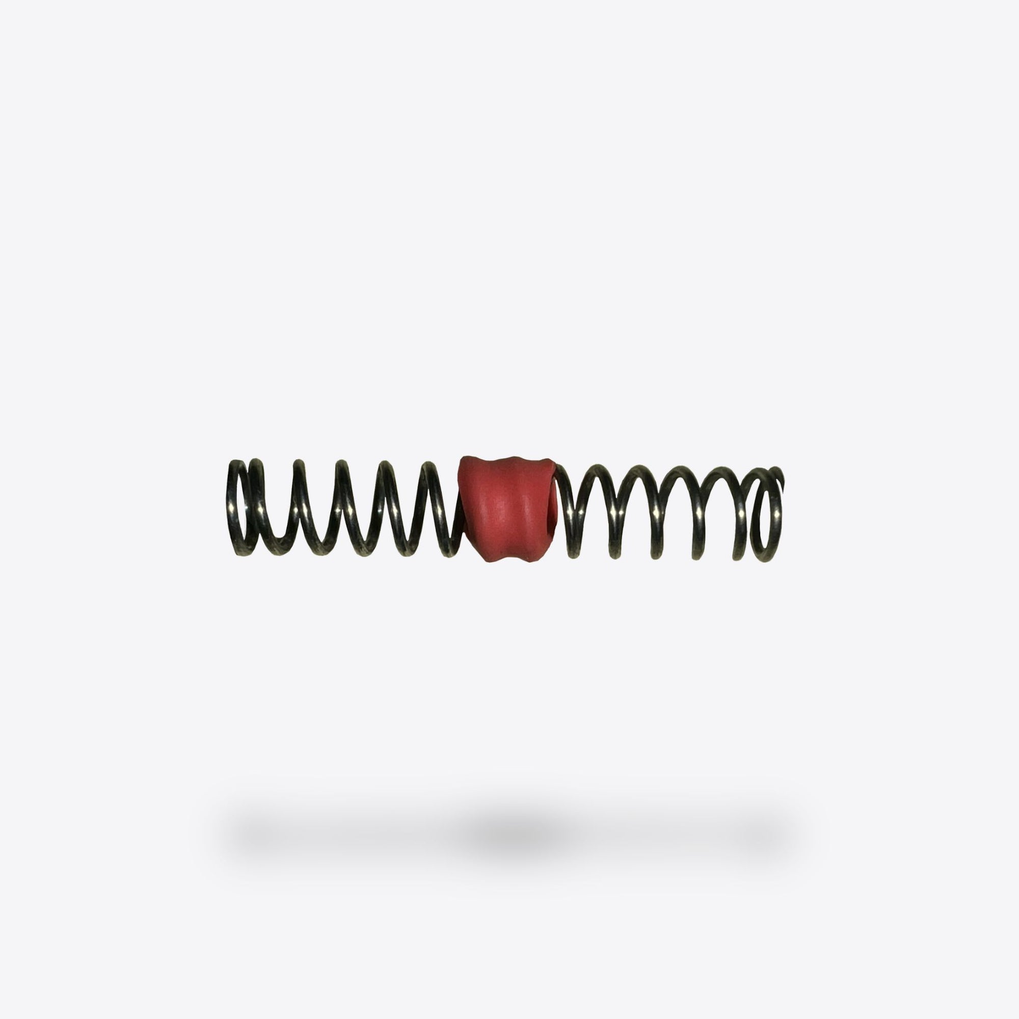 Plunger Spring