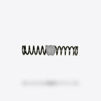 Plunger Spring