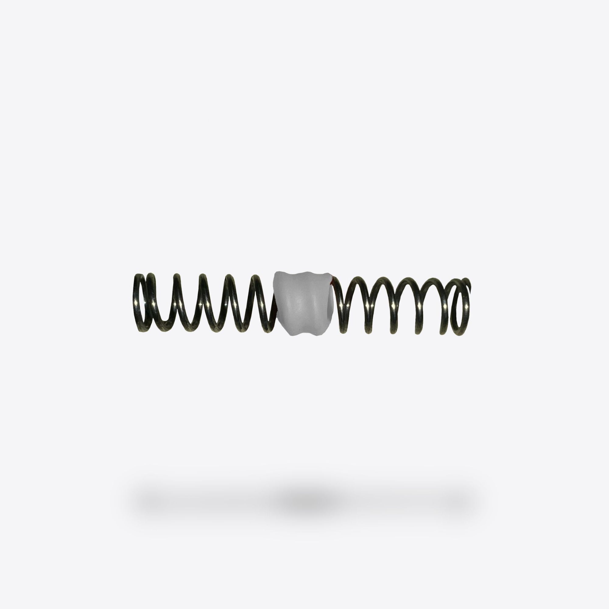 Plunger Spring